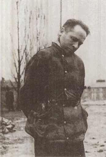 Кормилец вернулся
