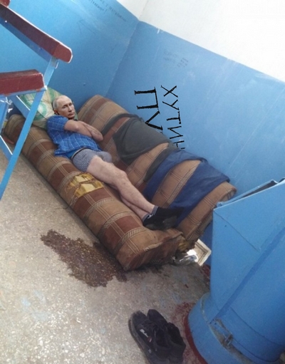 Живет в подъезде, но не кот