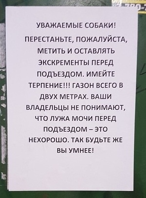 Немного картинок для настроения 19.10.19
