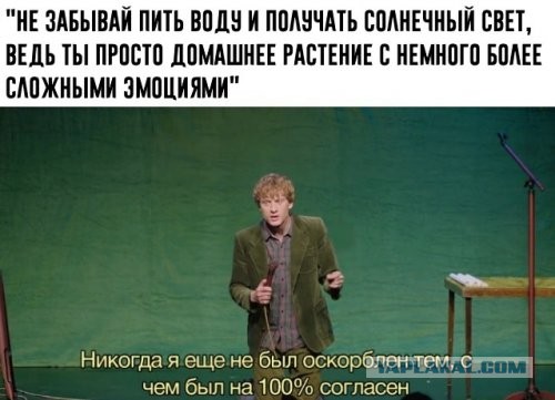 Картинки разные 4.12.19.