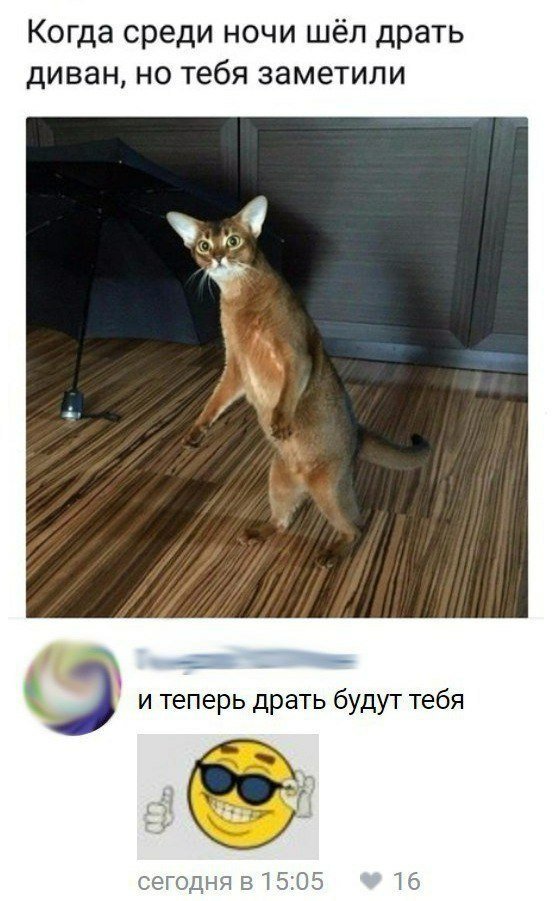 Бредзона 25.01.20