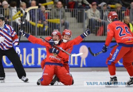 Чемпионат мира по хоккею с мячом 2013