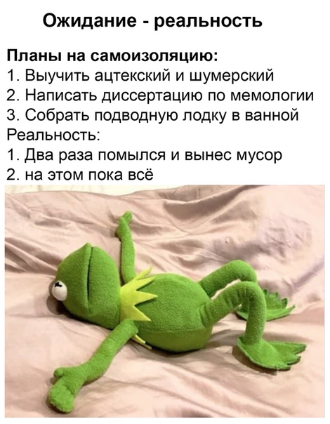 Подборка интересных и веселых картинок 25.04.20