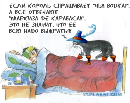Кот, Антошка и порошок