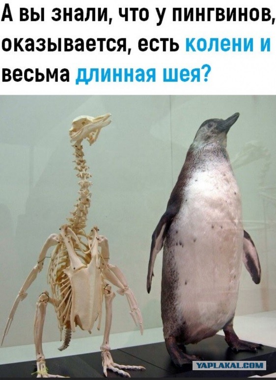 Бредзона 15.09.2020