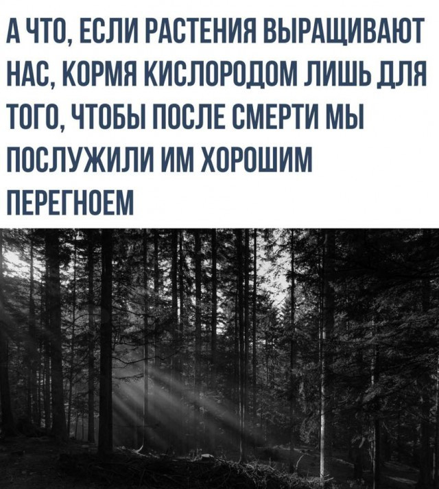 Фотки и картинки: юморные и красивые, забавные и милые 28.09.20