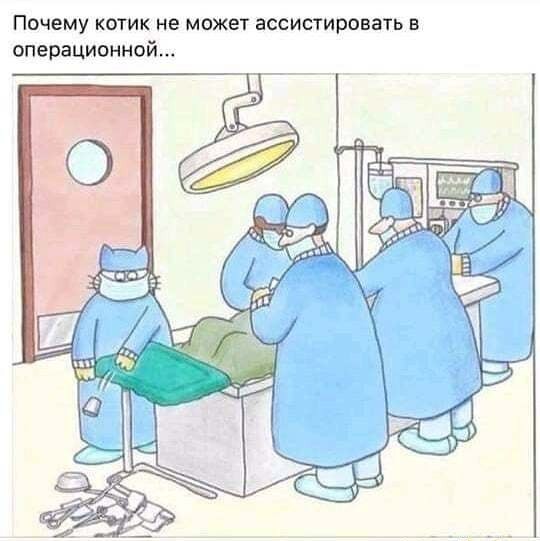 Шиза