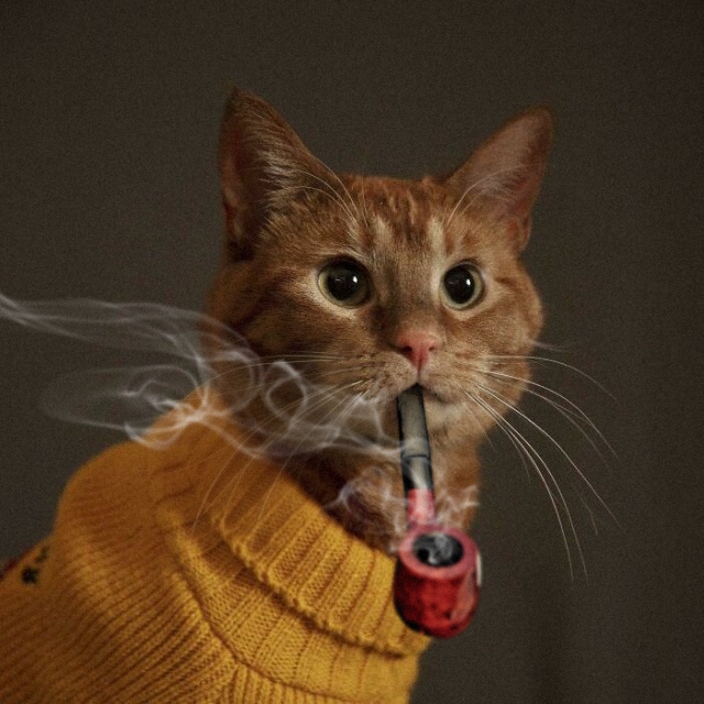 К - Котогеничность