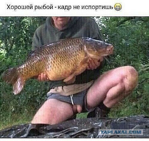 Весёлый полтишок 19.02