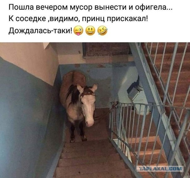 Запросы женщин за 30 или таких сказочных дядей просто не бывает