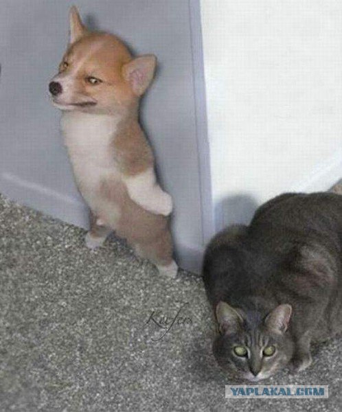 Убери камеру, а то хуже будет!