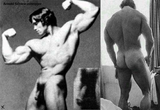Арни Мудрец