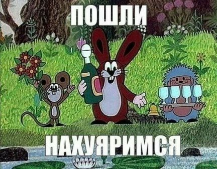 Алкопост 21.08.21