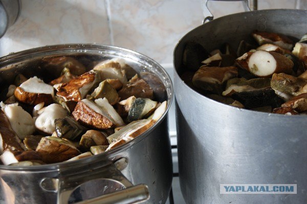 Осень в банках