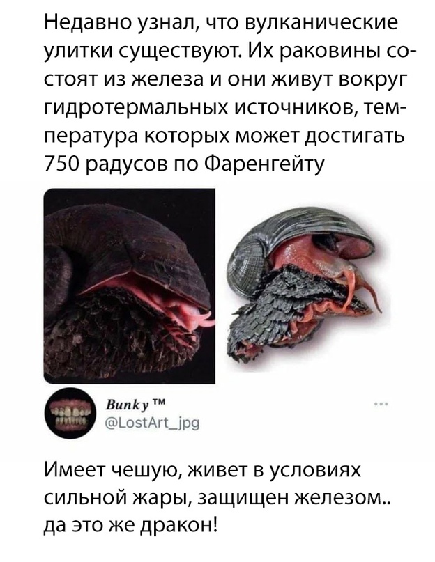 Весёлый полтишок 23.09