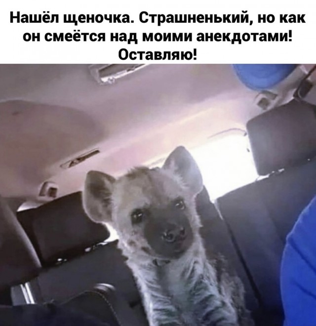 Так себе картинки 27.11.21