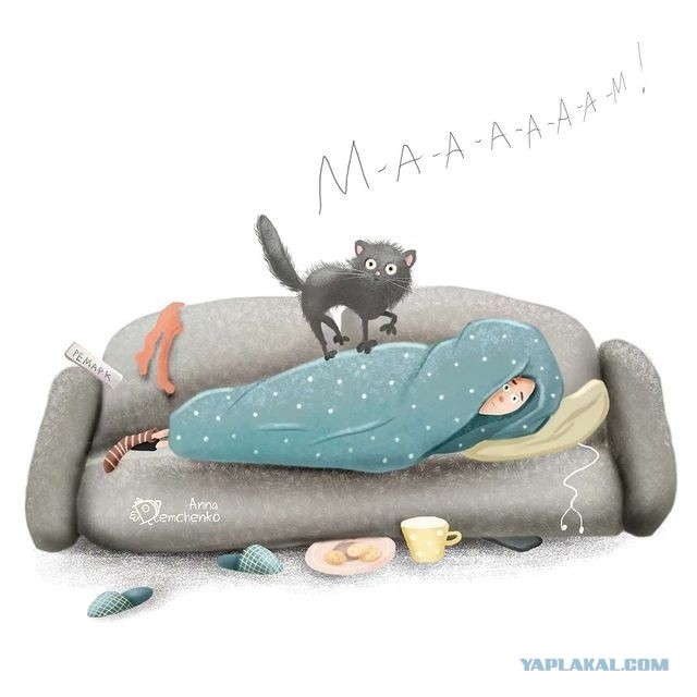 Много рыбОв и кОтов, коллеги!