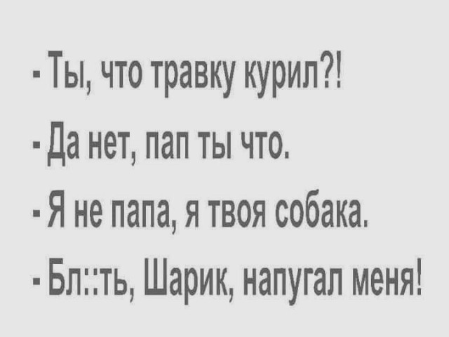 Весёлый полтишок 30.03.22