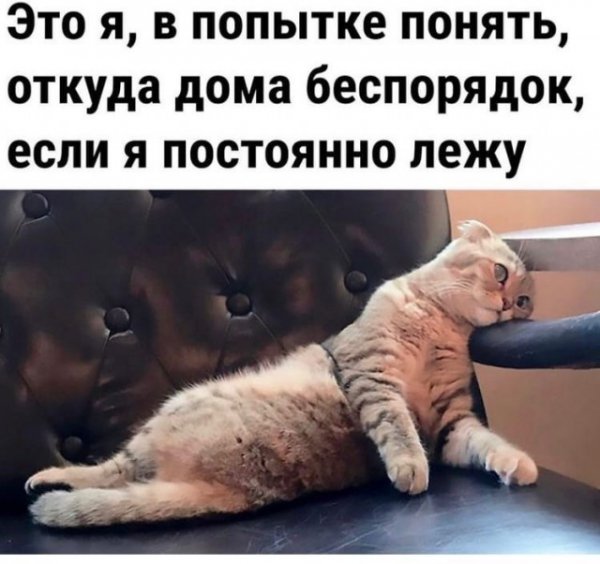 Баянисто-небаянистый юмор 4.03.22