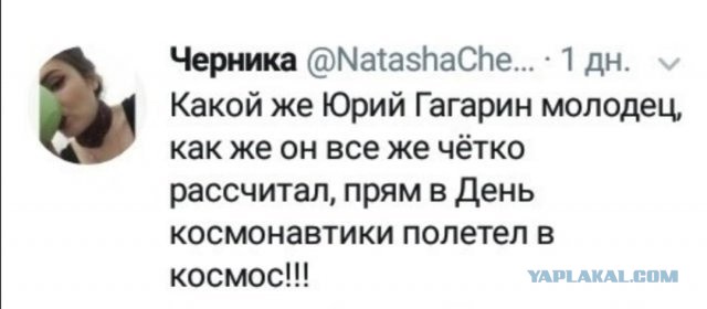 Так себе картинки 18.04.22