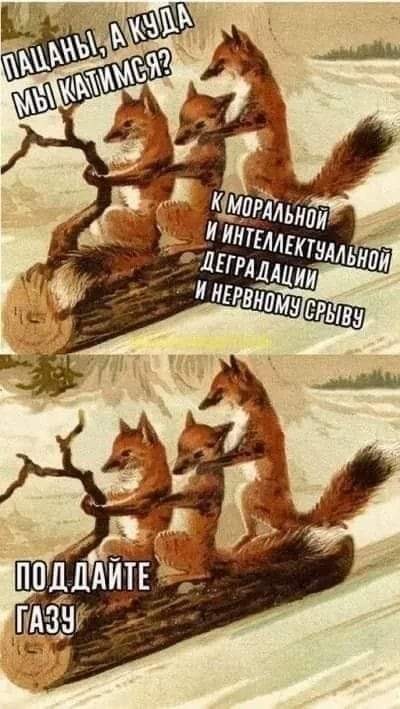 Весёлый полтишок 20.04.22