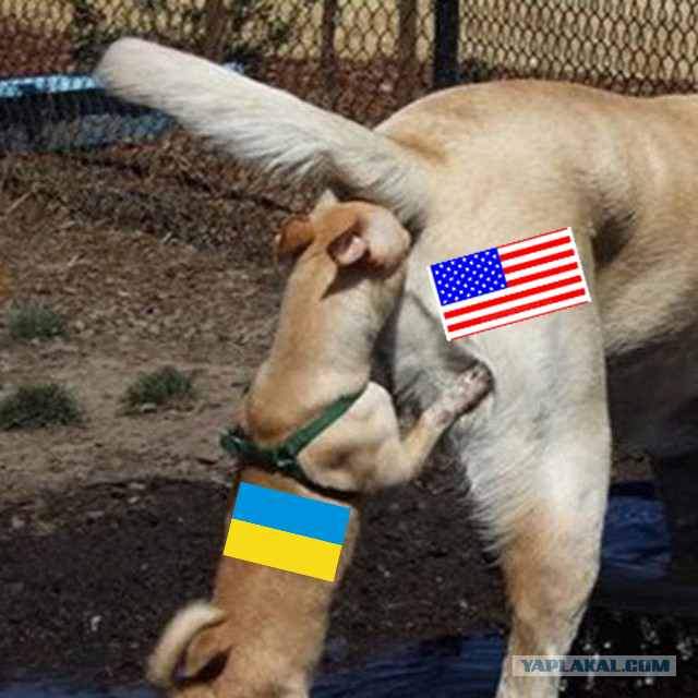 Выдали оружие