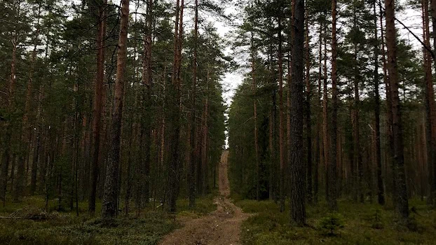 Заброшенный полигон высоковольтных испытаний: загадочные находки в лесу оставшиеся со времен СССР