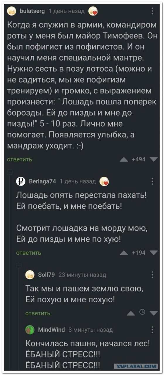 Немного картинок для настроения - 137