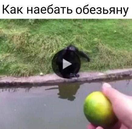 Картинки и мемы для настроения - 125