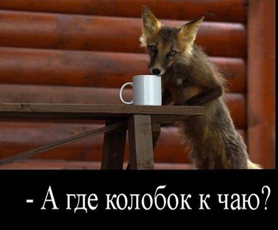 Так себе картинки 04.01.23