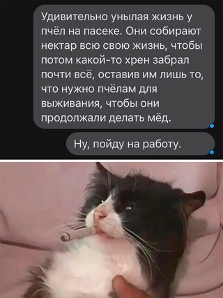 Картинки и мемы для настроения - 015