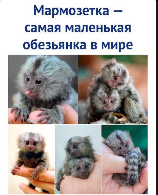Немного картинок для настроения - 127