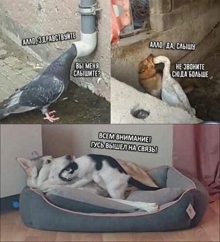 Позывной "Дрон"