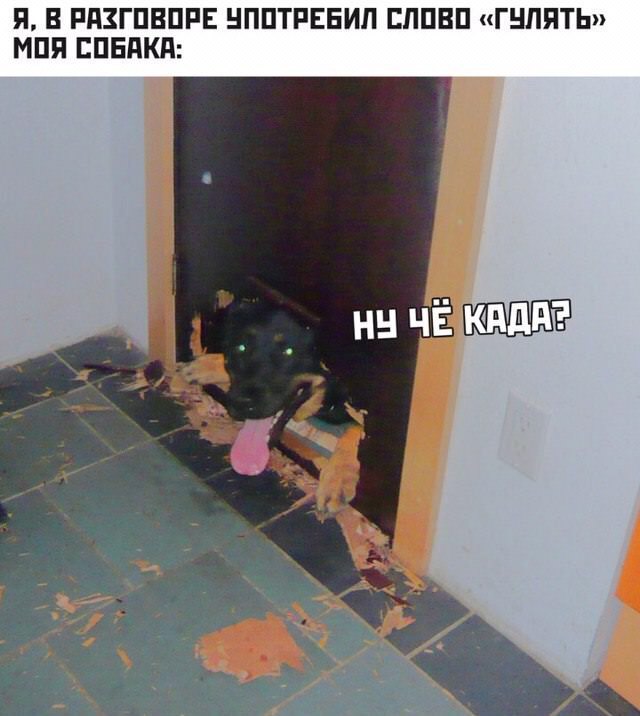 Картинки и мемы для настроения - 187