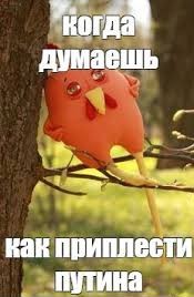 Женщина умерла во время полового акта в московском сквере