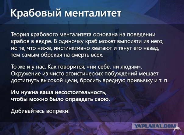 Российская чемпионка мира по шахматам боится ехать на родину
