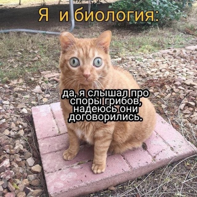 Так себе картинки 30.09.2023