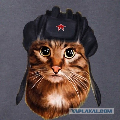 Шутки закончились