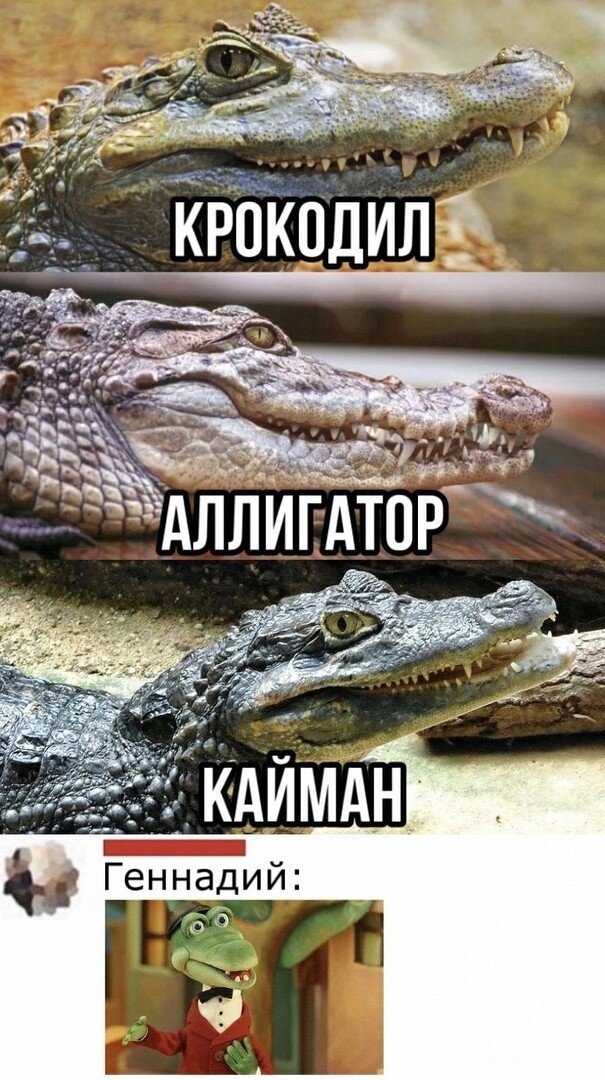 Тлидцать тли от 19 февлаля