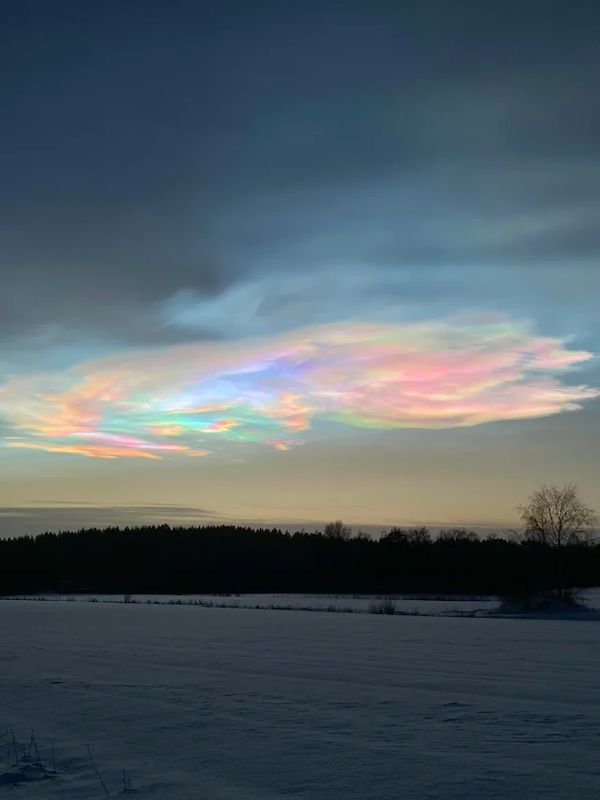 ФотоВинегрет