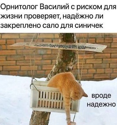 Мои гости в ресторане "На девятом небе"