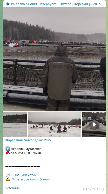 Форелевая лихорадка