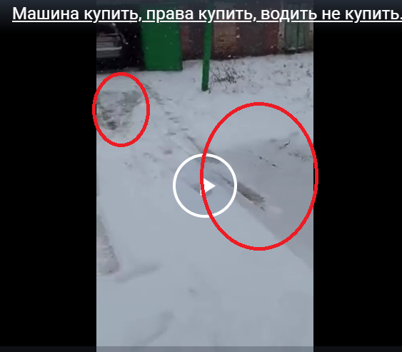 Машина купить, права купить, водить не купить.