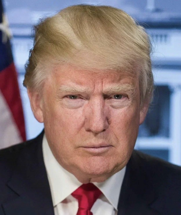Мелания Трамп в совбезе ООН