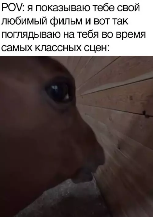 Картиночки, баянчики 04 марта