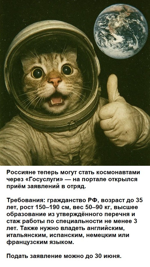 На злобу дня...