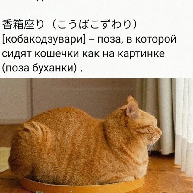 Раб, неси меня в дом