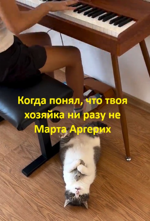 Когда бахнул соточку в антракте