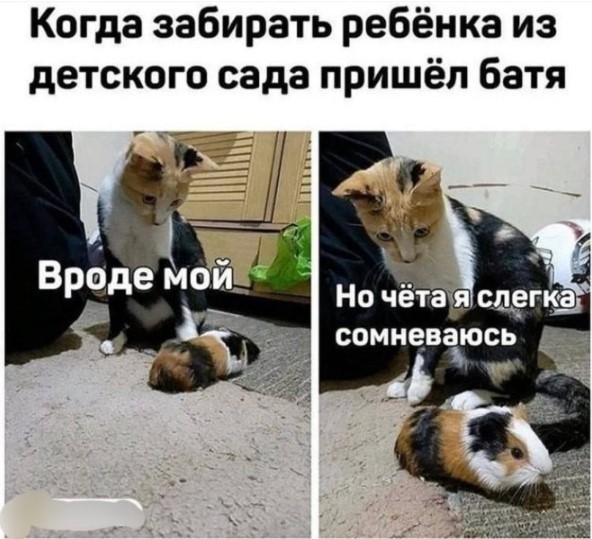 Картиночки, баянчики 01 августа