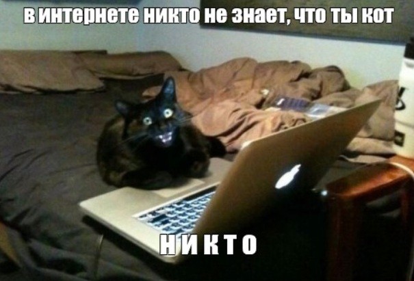 Вы сможете, если захотите, убедить человека в интернете, что Вы не Бот тырнетовский, даже исли Вы и тот самый Бот
